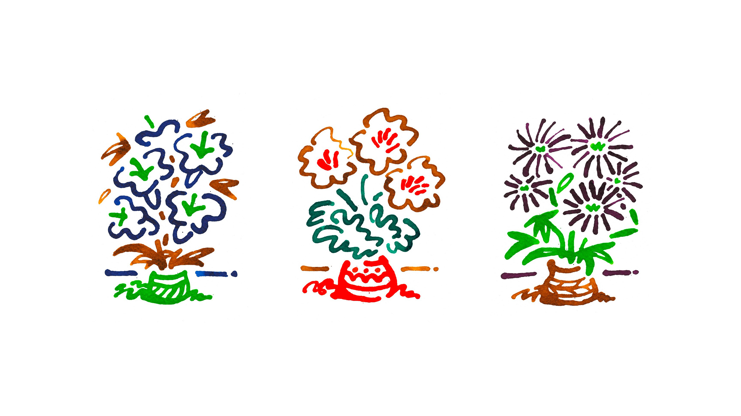 Ink drawing of flowers in three pots, various colours