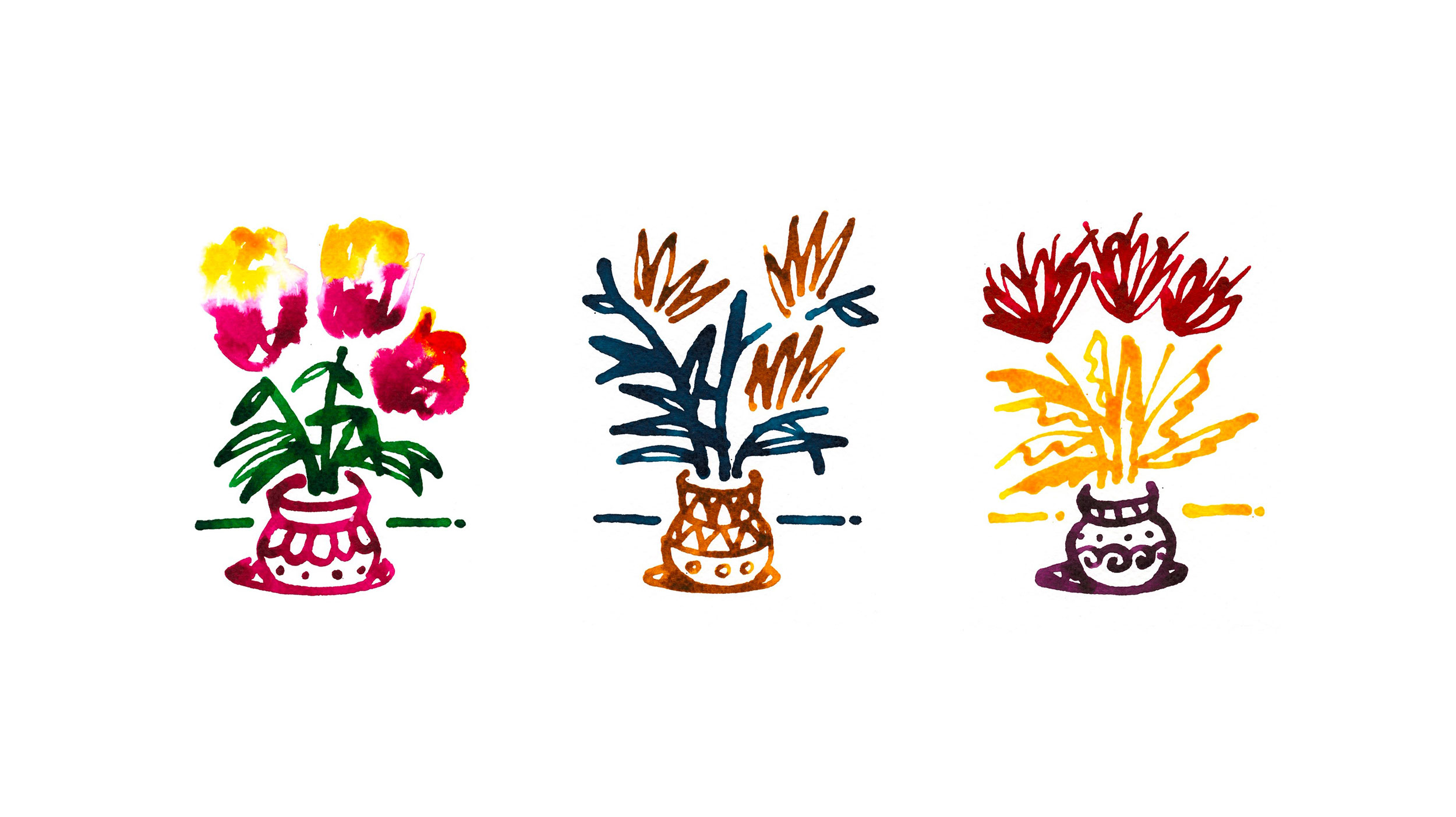 Ink drawing of flowers in three pots, various colours
